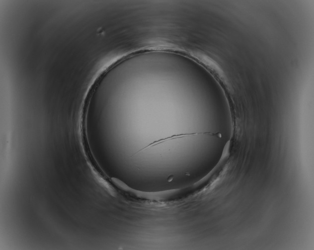 X0000088491231200705221420