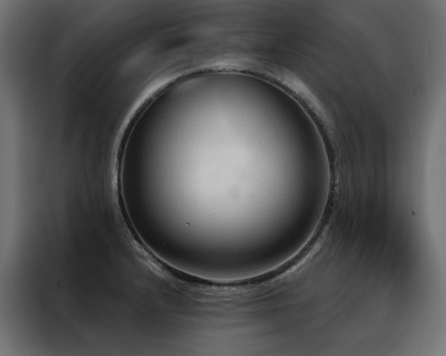 X0000088491232200705221420