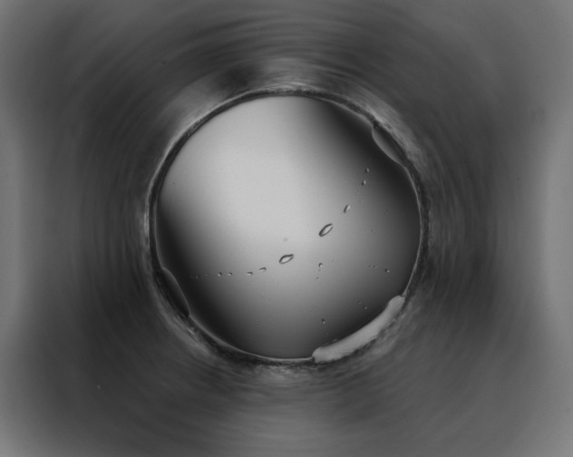 X0000088491234200705221420