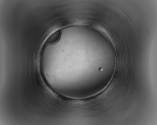 X0000088491235200705221420
