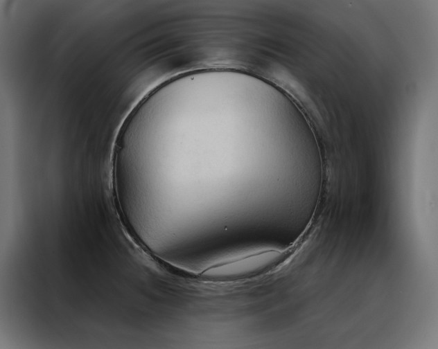 X0000088491236200705221420