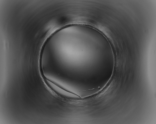 X0000088491237200705221420