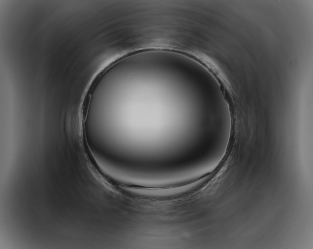 X0000088491238200705221420