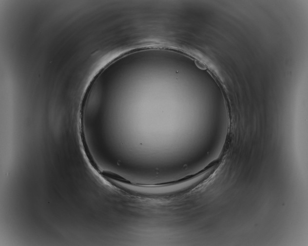 X0000088491239200705221420