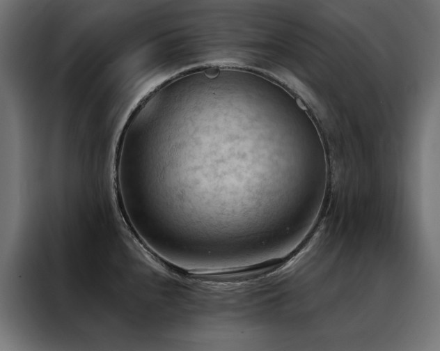X0000088491240200705221420