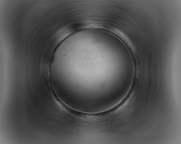 X0000088491241200705221420