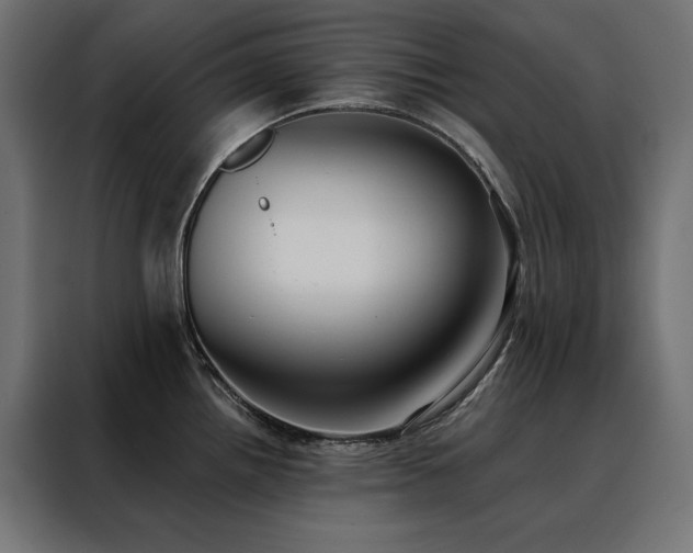 X0000088491242200705221420