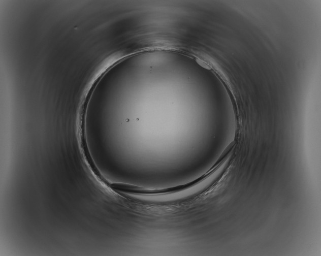 X0000088491243200705221420