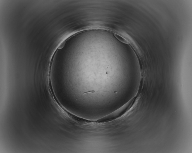 X0000088491244200705221420