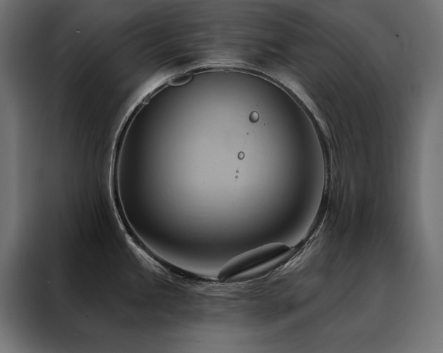 X0000088491245200705221420
