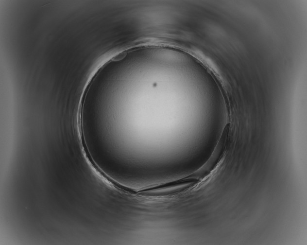 X0000088491247200705221420