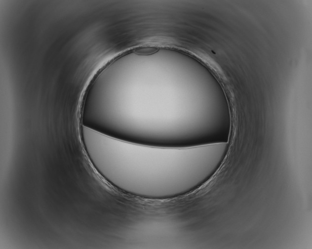 X0000088491248200705221420