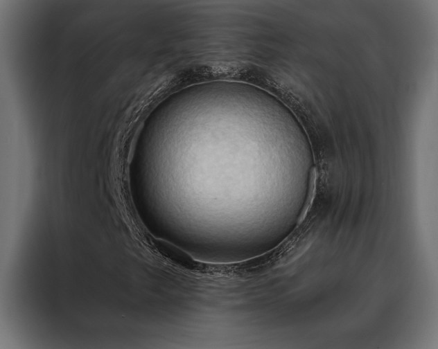 X0000088491249200705221420
