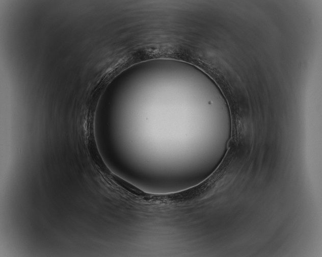 X0000088491250200705221420