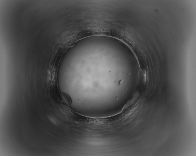 X0000088491251200705221420