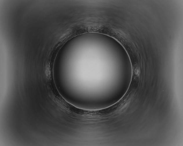 X0000088491252200705221420