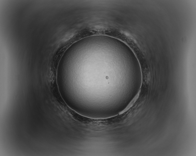 X0000088491253200705221420