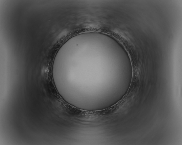 X0000088491254200705221420