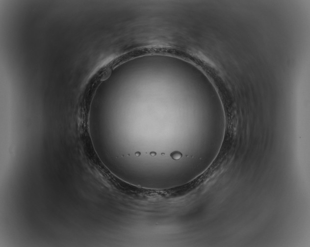X0000088491255200705221420