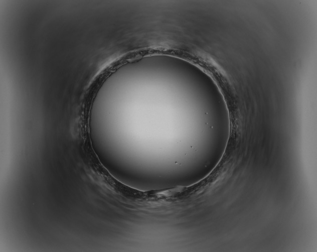 X0000088491256200705221420