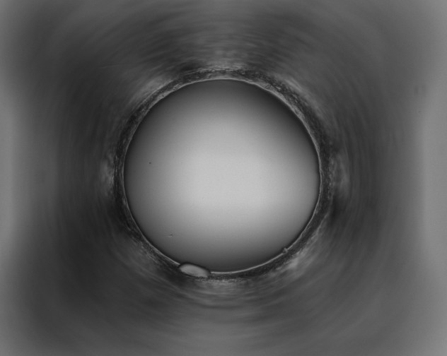 X0000088491257200705221420