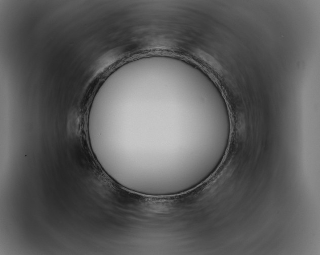 X0000088491258200705221420