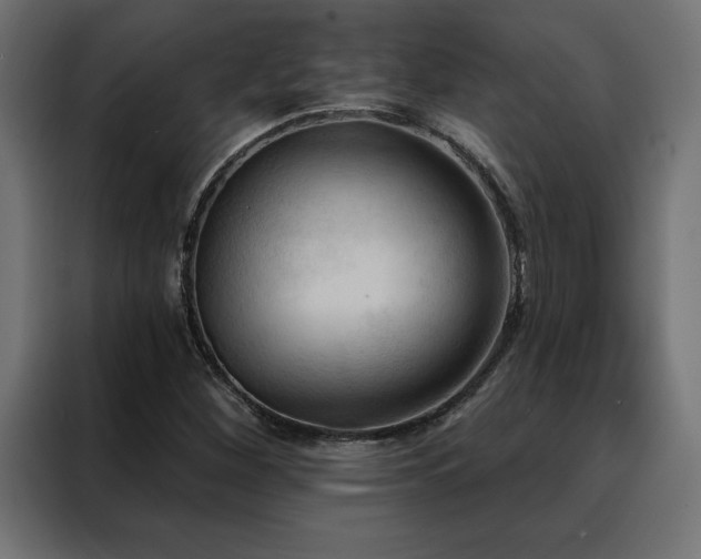 X0000088491260200705221420
