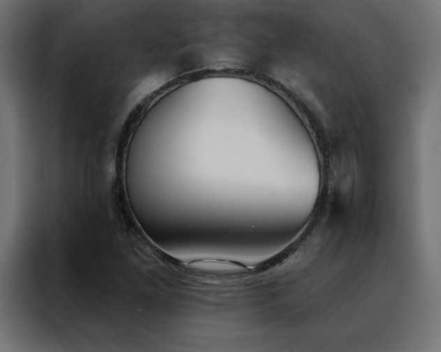 X0000088491261200705221420
