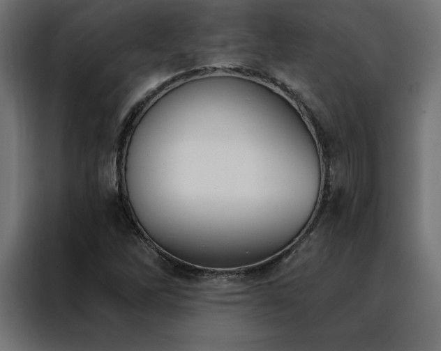 X0000088491262200705221420