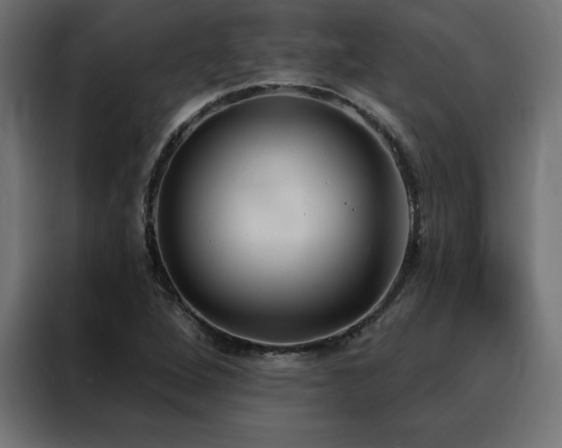 X0000088491264200705221420