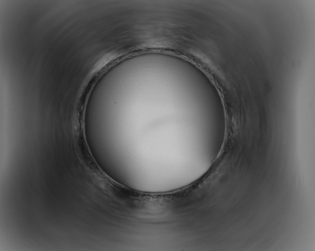X0000088491266200705221420