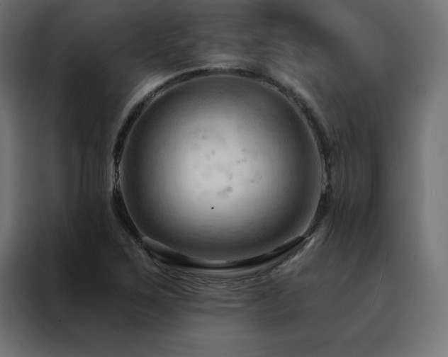 X0000088491267200705221420