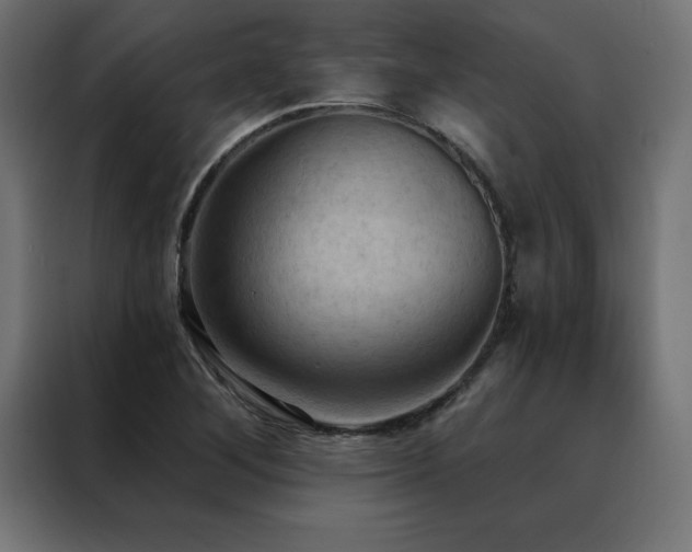 X0000088491268200705221420