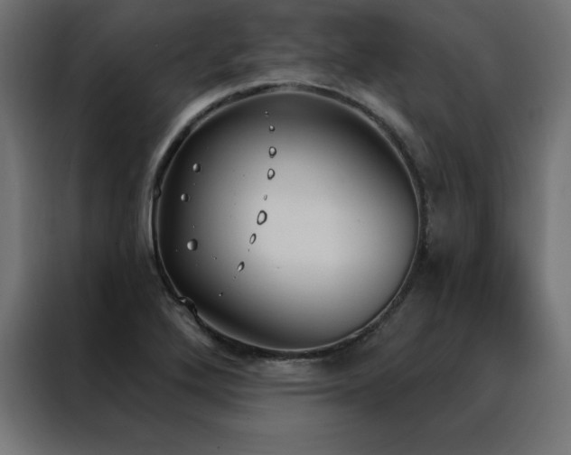 X0000088491272200705221420