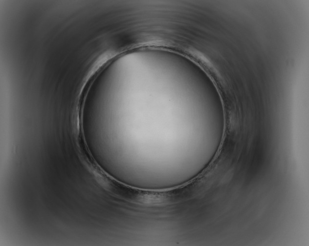 X0000088491274200705221420
