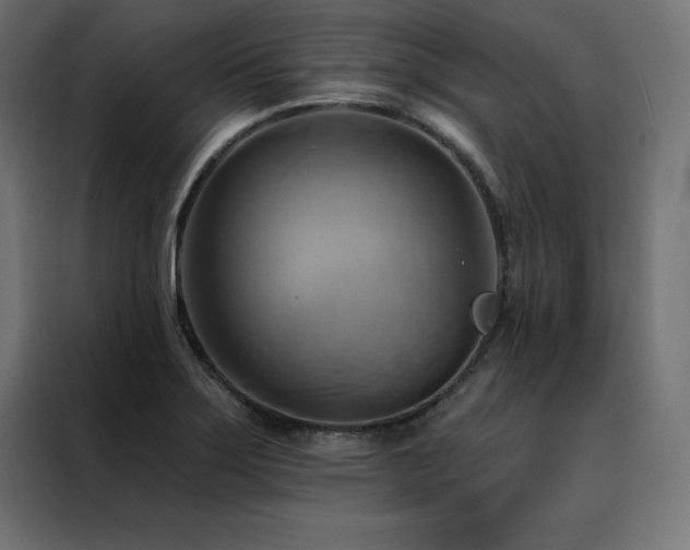 X0000088491275200705221419