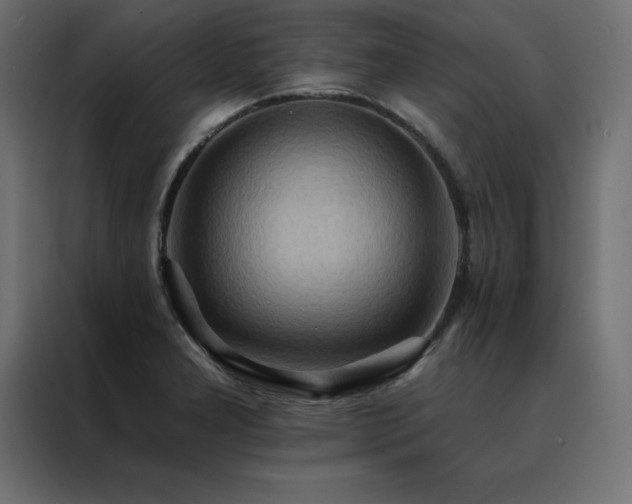 X0000088491277200705221419
