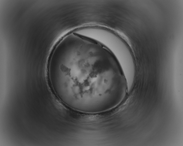 X0000088491279200705221419