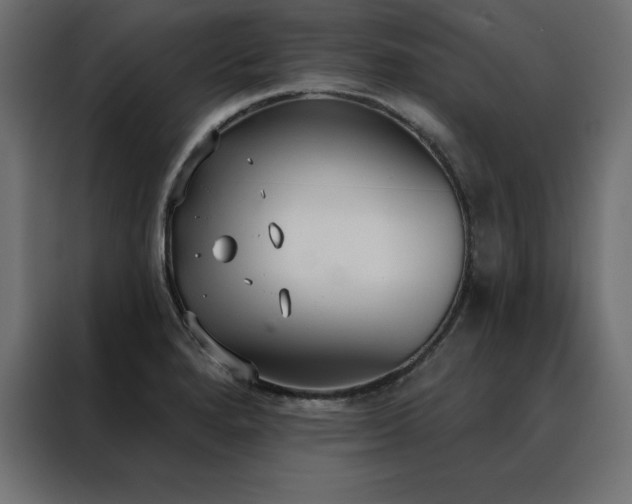 X0000088491280200705221419