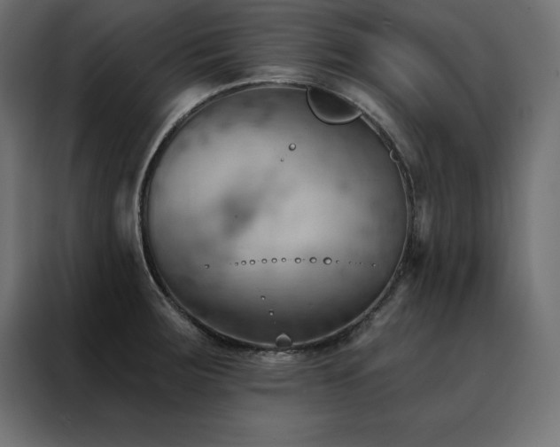 X0000088491283200705221419