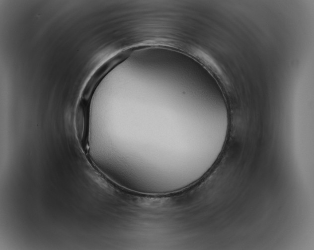 X0000088491284200705221419