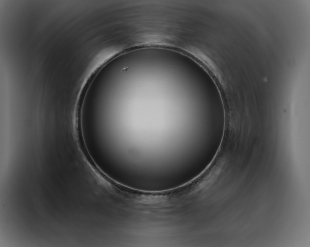 X0000088491285200705221419