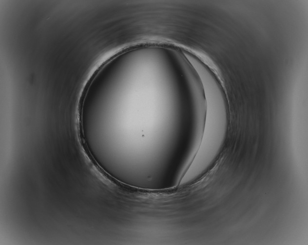 X0000088491287200705221419
