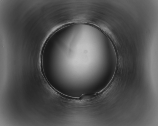 X0000088491288200705221419