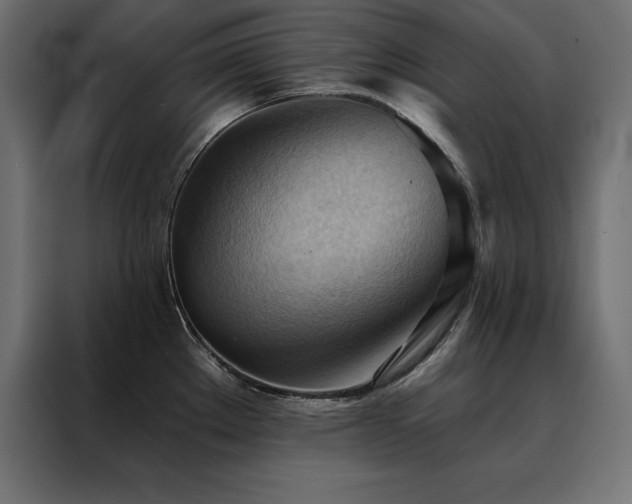 X0000088491289200705221419