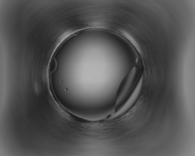 X0000088491291200705221419
