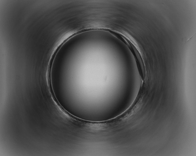 X0000088491293200705221419