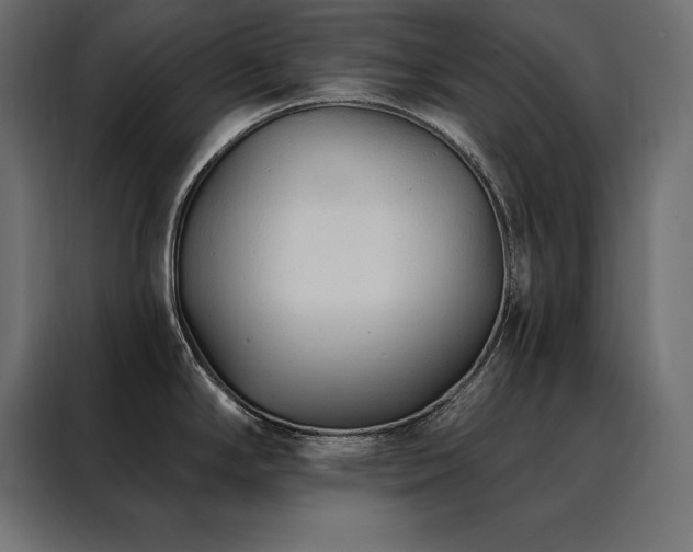 X0000088491294200705221419
