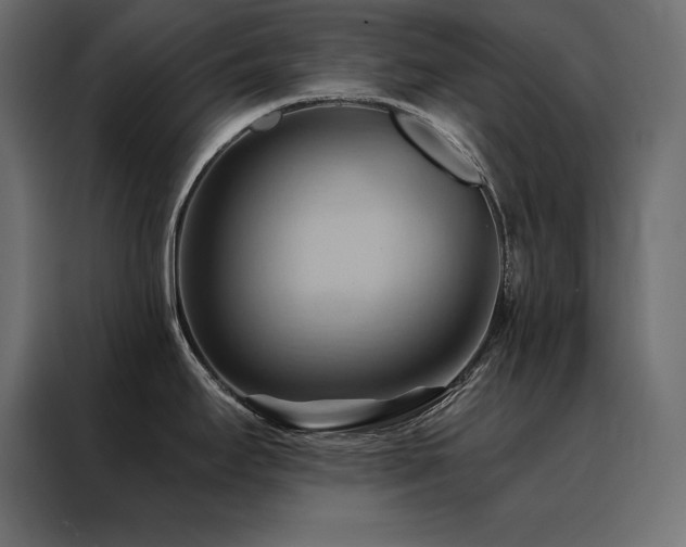 X0000088491295200705221419