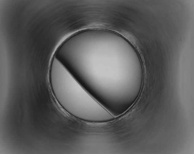 X0000088491296200705221419